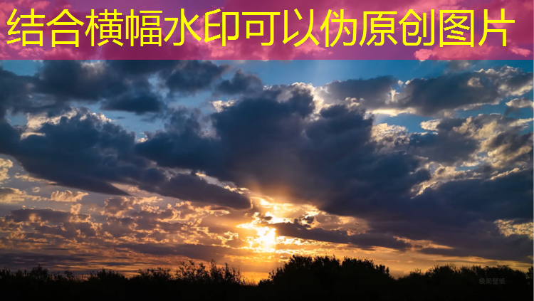 穿越网球网王之网球公主