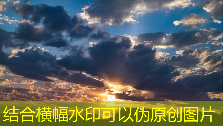 体操球操表演