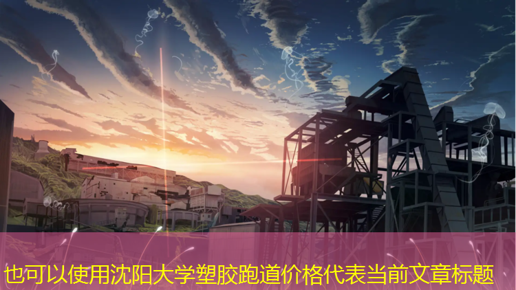沈阳大学塑胶跑道价格