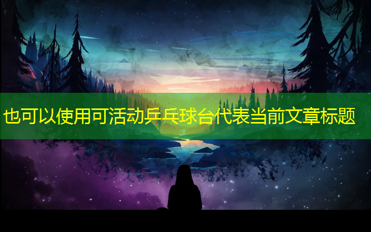 可活动乒乓球台