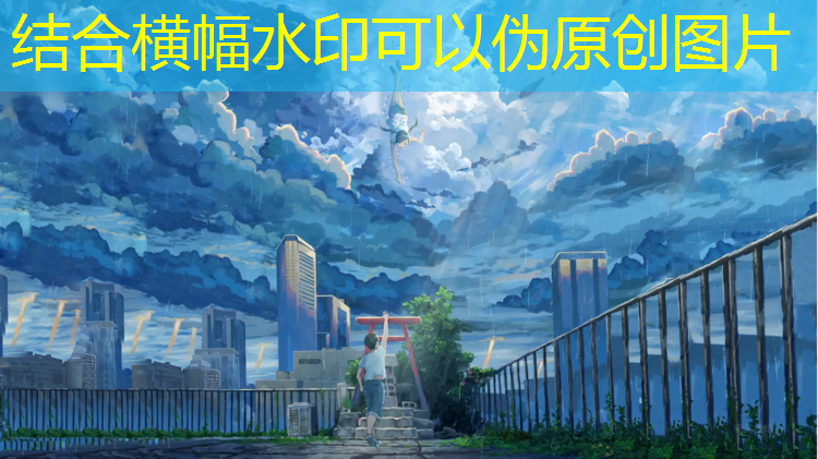 成年足球队器材鲸猜体育