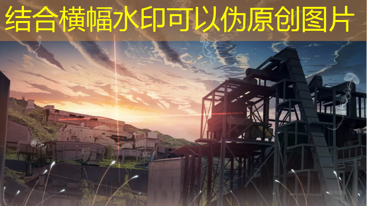中学用大体操垫价格