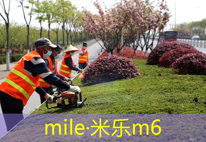 mile·米乐m6：适合上旋球的网球拍