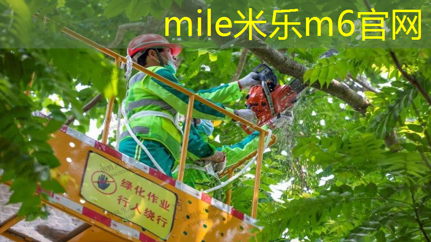 米乐m6官网登录入口：迪卡侬有经营网球拍吗_