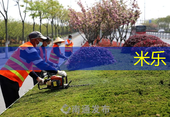 米乐：缩小版网球拍是什么材质