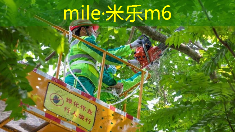 米乐m6官网登录入口：网球拍训练模式有哪些规则