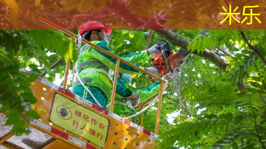 米乐：网球拍重量太重怎么办