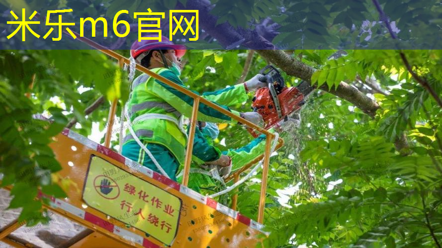 mile米乐m6官网：尤尼克斯网球拍尺寸