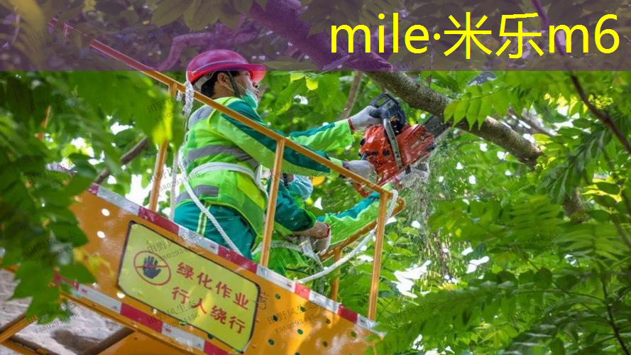 米乐：网球拍有哪几种类型
