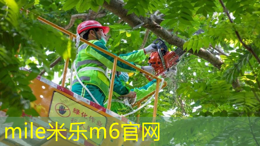 史莱辛格网球拍有哪些系列