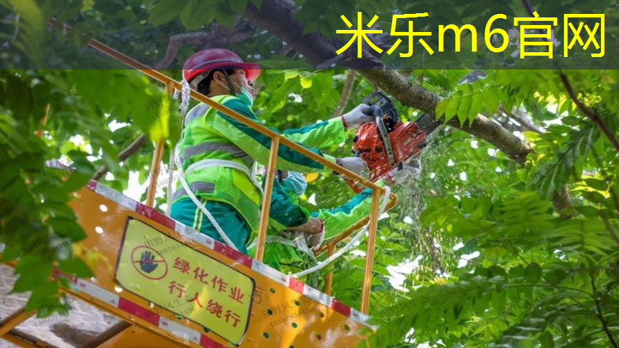 米乐m6官网：类似网球拍的武器游戏有哪些