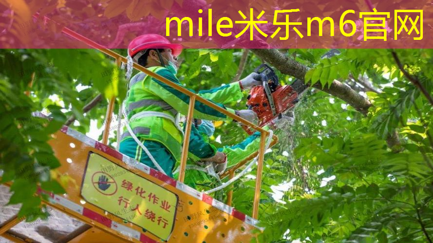 米乐：怎么反手放网球拍上打
