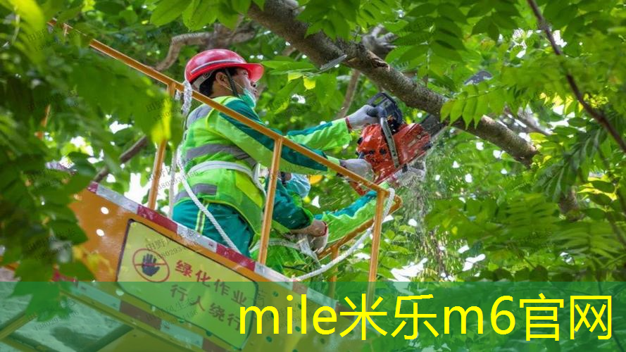mile·米乐m6：成毅的网球拍怎么样
