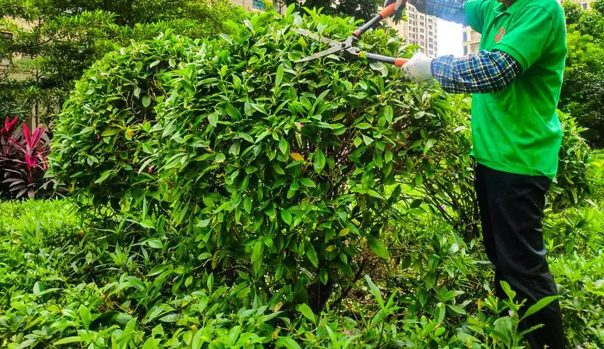 米乐m6官网登录入口：网球拍网子多少磅最好用