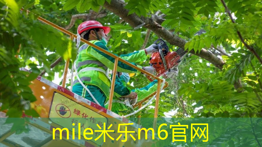 米乐m6官网登录入口：网球拍双层手胶缠法