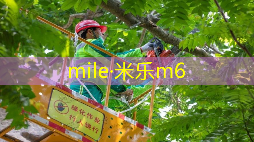 米乐：鲨跃网球拍什么材质最好