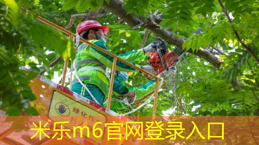 米乐m6官网登录入口：王子网球拍95日版