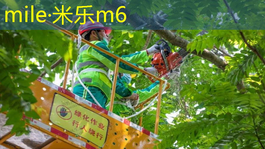 网球拍女拍男拍区别