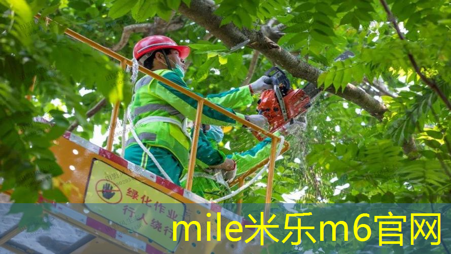 米乐m6官网登录入口：排球比赛中如何正确拦网防守？