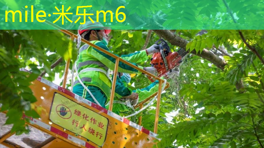 米乐m6官网：乒乓球台面多高合适用桌子
