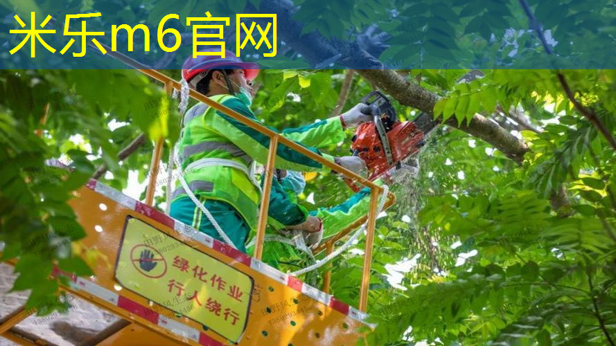 迪卡侬有经营网球拍吗_
