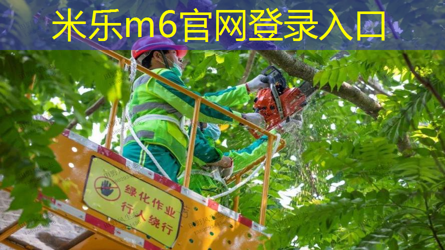 网球拍那么重怎么打出来