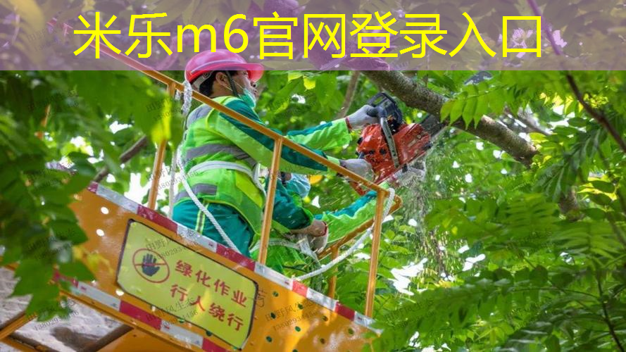 网球拍训练模式有哪些规则