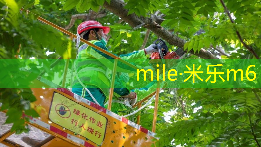 网球拍重量太重怎么办