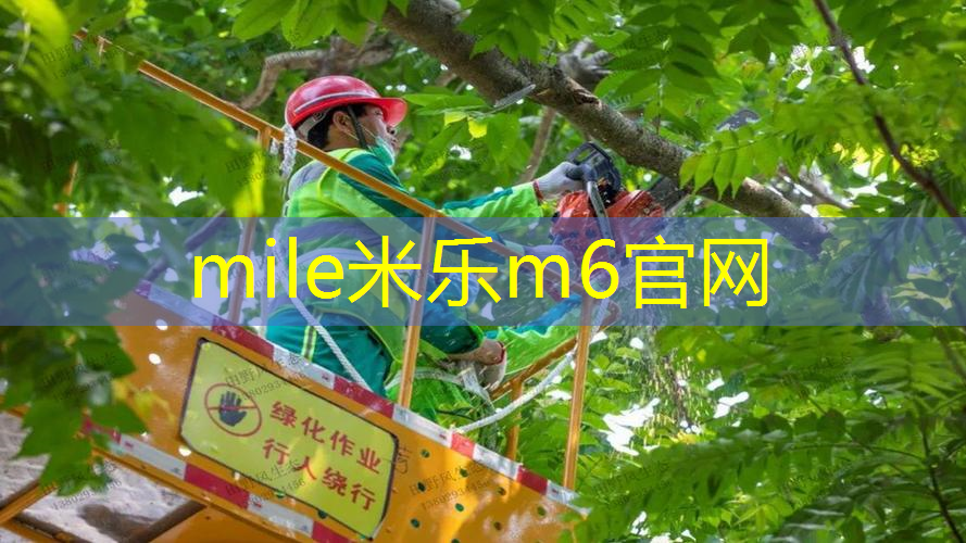 尤尼克斯网球拍尺寸