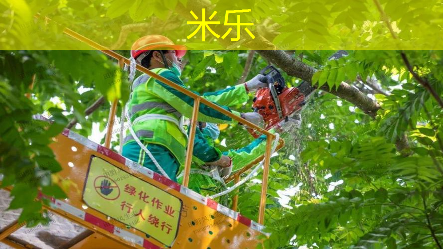 费德勒网球拍打双反效果
