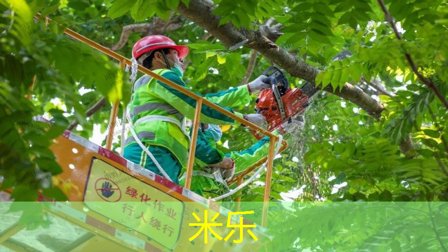 网球拍有哪几种类型