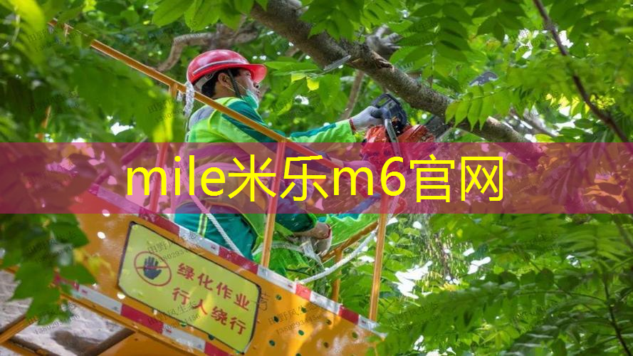 类似网球拍的武器游戏有哪些