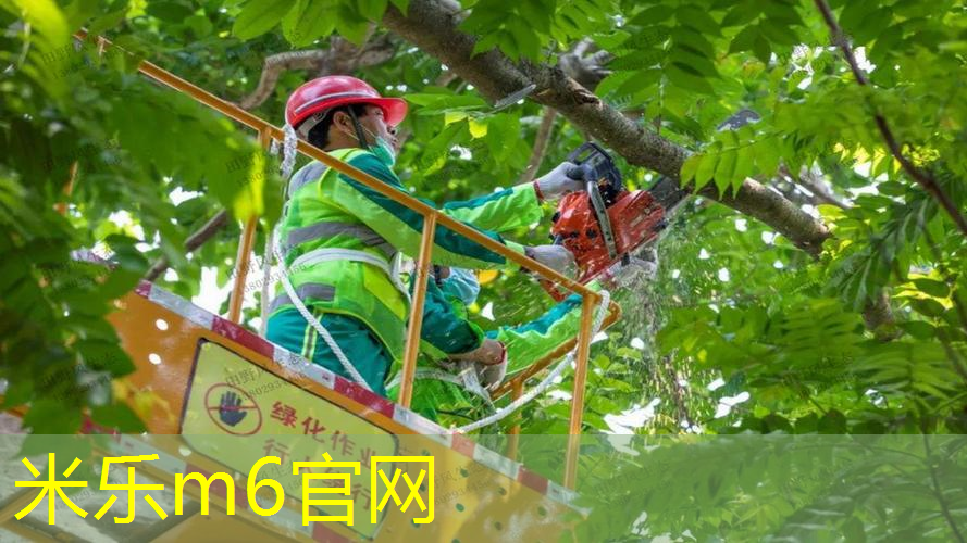 成毅的网球拍怎么样