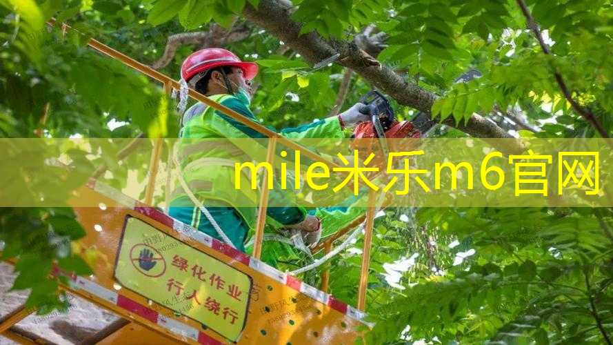 网球拍线小黑拍怎么用的