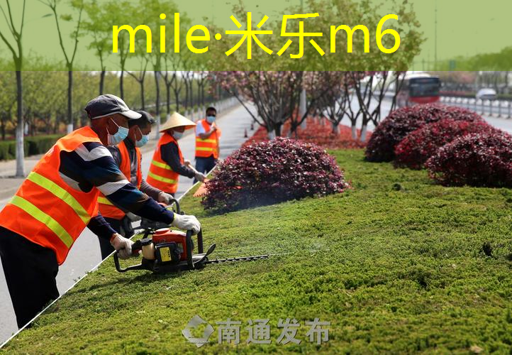网球拍网面材质有哪些种类