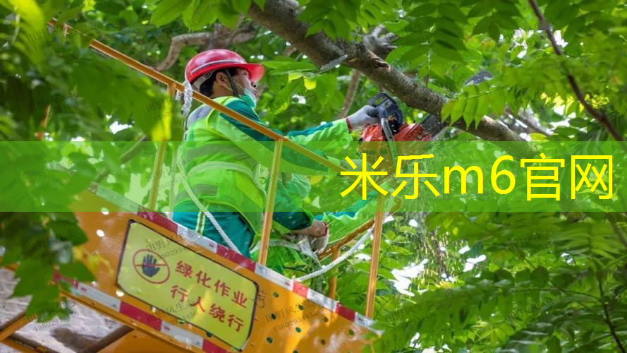 王子网球拍95日版