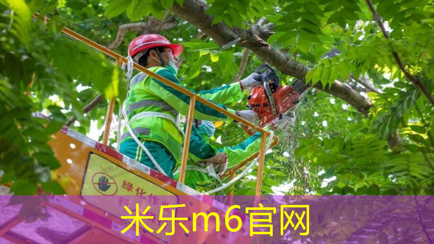 网球拍选多少磅的比较好