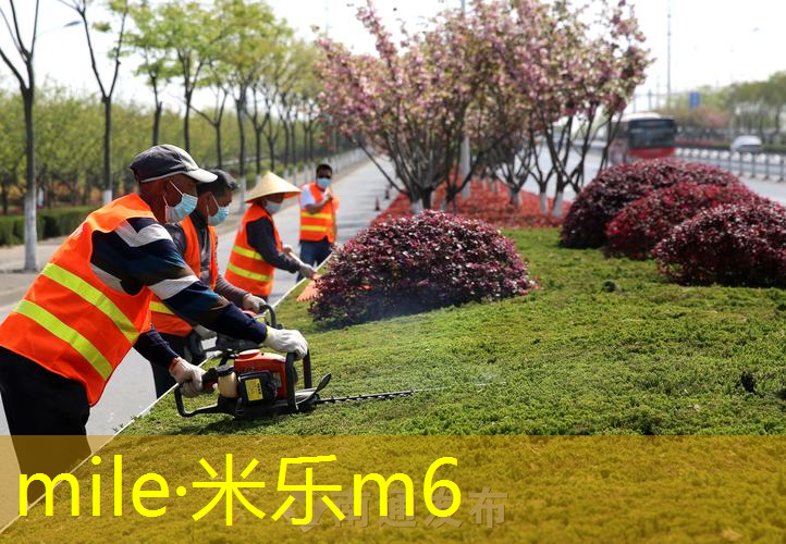网球拍训练班用拍