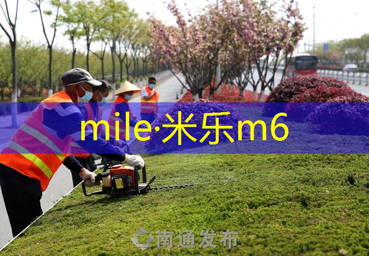 网球拍轻点好还是沉的好