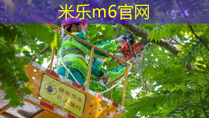 网球拍女拍男拍区别