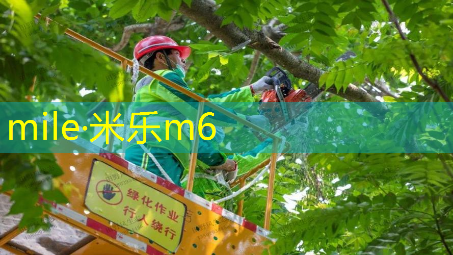 乒乓球台反拍发球