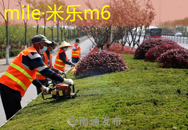 塑胶跑道材料取样检测，科技进步为运动保驾护航