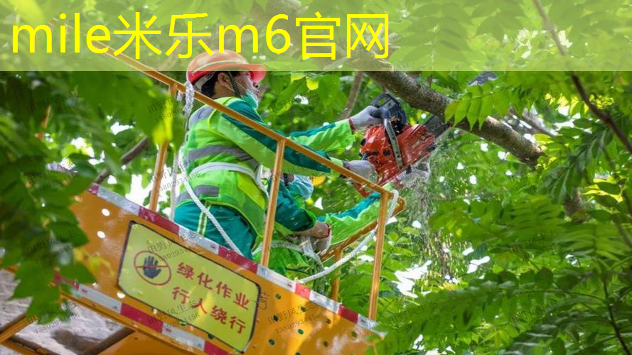 乒乓球台面多高合适用桌子